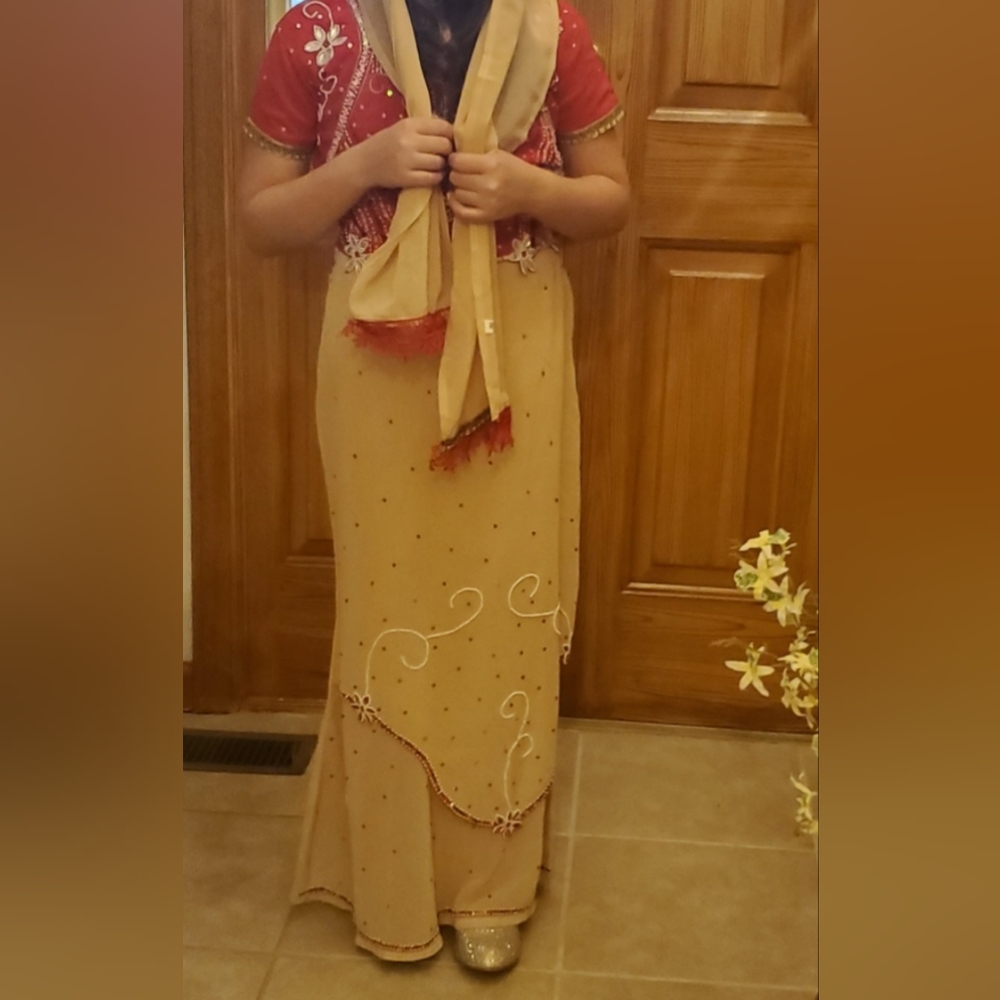 Indian Sari saree